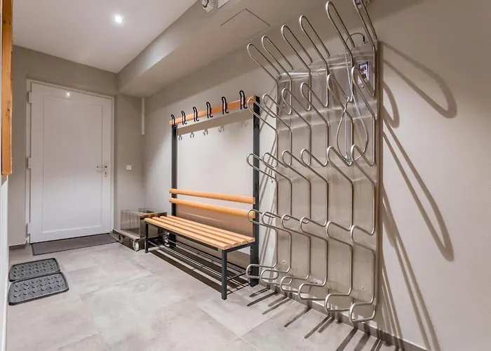 Schneeloewe Xl Leogang