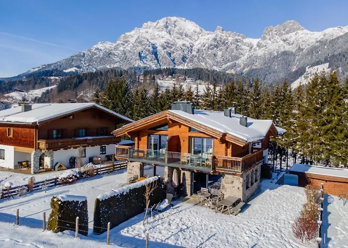 Schneeloewe Xl Leogang