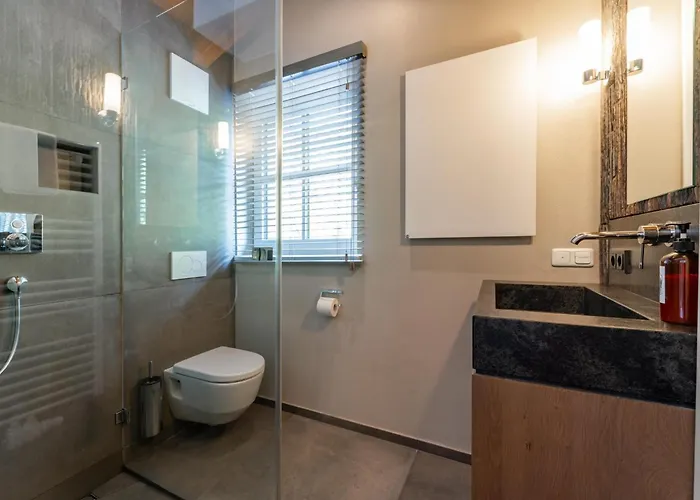 Schneeloewe Xl Tatil Evi Leogang