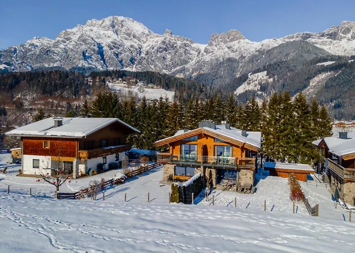 Schneeloewe Xl Leogang